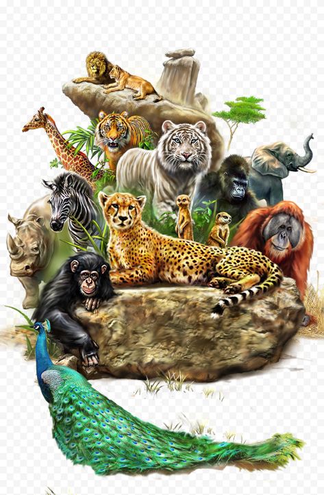 Wild Life Animals Drawing, Animal Meeting, Wild Animals Drawing, Jungle Pictures, Amazon Animals, Jungle Animal Art, Winged Creatures, Animal Illustration Art, Graphic Design Photo