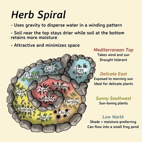 Native Nurseries on Instagram: “Too many plants and not enough space? Grow 🆙 Vertical gardening is made easy with herb spirals, trellises, and containers” Herb Spiral Layout, Permaculture, Herb Spiral With Pond, Herb Garden Spiral, Field Garden Ideas, Herb Spiral Garden Diy, Spiral Herb Garden Ideas, Apothecary Garden Layout, Vertical Herb Garden Ideas