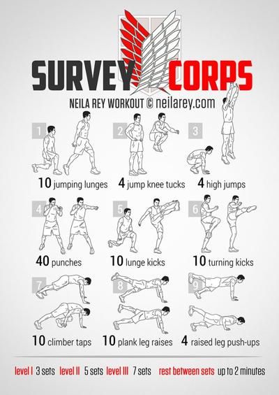 Survey Corps Attack on Titan Workout Neila Rey Workout, Neila Rey, Hero Workouts, Superhero Workout, Latihan Kardio, Survey Corps, Attack On Titan Funny, Trening Abs, Trening Fitness