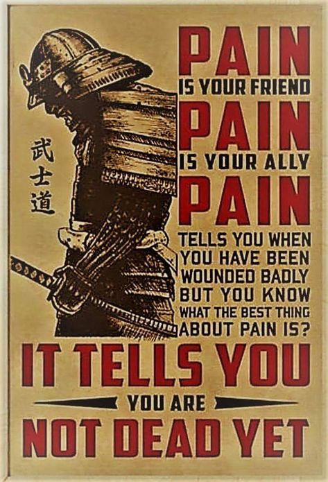 Pain is your friend. Samurai Quotes, Martial Arts Quotes, Viking Quotes, सत्य वचन, Military Quotes, Ju Jitsu, Motiverende Quotes, Warrior Quotes, Badass Quotes