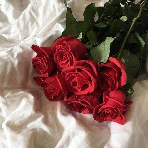 Pinterest⇝≫skylarmckellar❁ Insta⇝≫sky.mckellar❁ I always follow back Rosabella Beauty, The Hating Game, Red Aesthetic Grunge, Photo Rose, Lizzie Hearts, Yennefer Of Vengerberg, Mother Love, Aesthetic Roses, Red Rose Bouquet