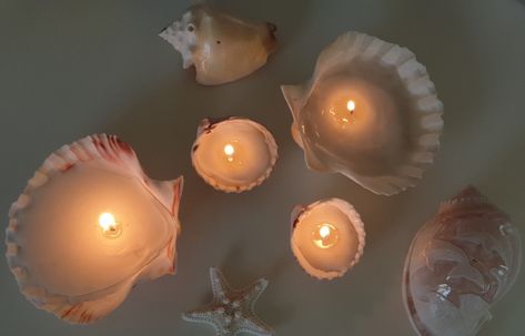 Balayage, Aesthetic Seashell Diys, Seashell Night Light, Diy Seashell Candles, Sea Shell Candles, Annie Cresta, Seashell Candles Diy, Sea Shell Candle, Seashell Candles