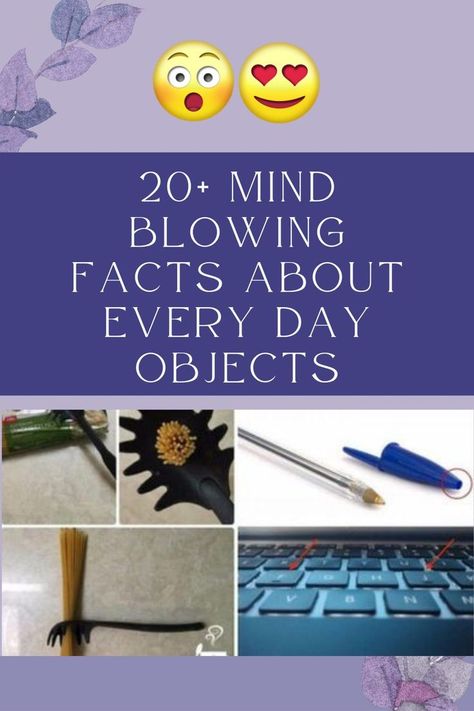 Interesting Fun Facts Mind Blowing, Did You Know Facts Mind Blown Funny, Unique Facts Weird, Crazy Facts Mind Blowing Funny, Fun Fact Videos, Mind Blowing Facts Unbelievable Funny, Random Fun Facts Mind Blowing, Interesting Science Facts Mind Blown, Did You Know Facts Mind Blown