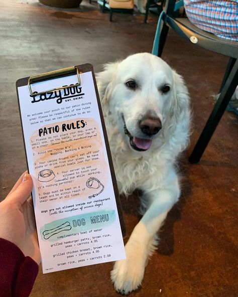 Dog Friendly Coffee Shop Ideas, Dog Friendly Bar Ideas, Dog Friendly Restaurant Design, Pet Friendly Cafe Interior, Dog Friendly Cafe Ideas, Dog Friendly Coffee Shop, Pet Friendly Cafe Ideas, Dog Cafe Ideas, Pet Coffee Shop