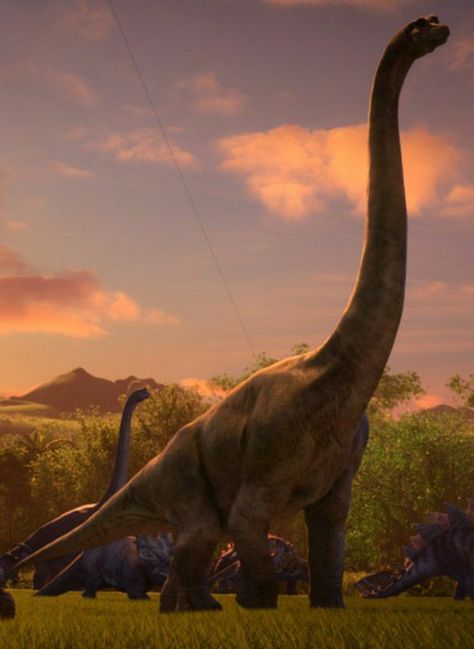 Bumpy In Evolution Camp Cretaceous Mods | Jurassic World Evolution Mod Spotlight, Jurassic World Camp Cretaceous] Brachiosaurus Gen 24 she herbivore is a genus of large sauropod dinosaur it weighed up to an enlarged 56 metric tons brachio have home and kajiu and bracelet radio roar sound need she from vorton be good guy pet to the superheroes dinosaurs series of dimensions Dinosaur Clothing, Jurassic World Camp Cretaceous, Dinosaur Bedding, Real Dinosaur, Dino Park, Jurassic Park 1993, Dinosaur Photo, Dinosaur Outfit, Dinosaur Posters