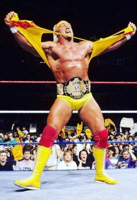 WWF Champion Hulk Hogan Wwe Hulk Hogan, Wwf Superstars, Fighting Sports, Valentine Days, Wrestling Posters, The Undertaker, Wrestling Stars, Wwe Legends, Wwe World