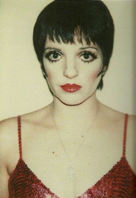 Judy Garland Liza Minnelli, Andy Warhol Museum, Film Icon, Liza Minnelli, How To Do Makeup, Hooray For Hollywood, Judy Garland, Actrices Hollywood, Bold And The Beautiful