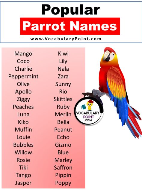 Are you tired of the same old boring pet names? Well, it’s time to turn up the volume and add some color to your life with parrot names that are as vibrant and unique as these feathered friends themselves! Whether you’re a first-time parrot owner or a seasoned bird enthusiast looking to add another member ... <a title="Adorable Parrot Names (Cute, Funny, Pet & Cool)" class="read-more" href="https://vocabularypoint.com/parrot-names/" aria-label="More on Adorable Parrot Name... Bird Pet Names, Cute Parakeet Names, Names For Parrots, Bird Names Ideas, Pet Bird Names, Citrus Logo Design, Parrot Names, Budgie Names, Birds Name List