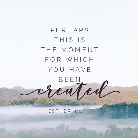 “Perhaps this is the moment for which you have been created.” Esther 4:14 “You are altogether beautiful, my darling, beautiful in every way.” Song of Songs 4:7 Hey, Woman! Read these beautiful, inspiring and encouraging scriptures! #bibleverses #bibleversesoftheday #bibleversesdaily #faith #biblelove #godlovesme #godspromise #godlywoman #jesusisthelight #bible #jesus #jesuschristfamily #dailybibleverses #inspiringquotes #biblequotes #inspirationalquotes Robert Kiyosaki, Verses About Women, Faith Quotes Inspirational, Bible Verses For Women, Scripture Memory, Beautiful Bible Verses, Encouraging Bible Verses, Encouraging Scripture, Inspirational Quotes For Women