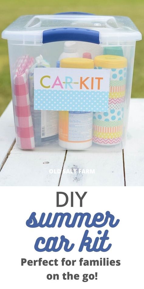 Summer Survival Kit, Car Survival Kits, Car Packing, Car Care Kit, Summer Car, Car Emergency Kit, Clorox Wipes, Family Projects, Packing Car