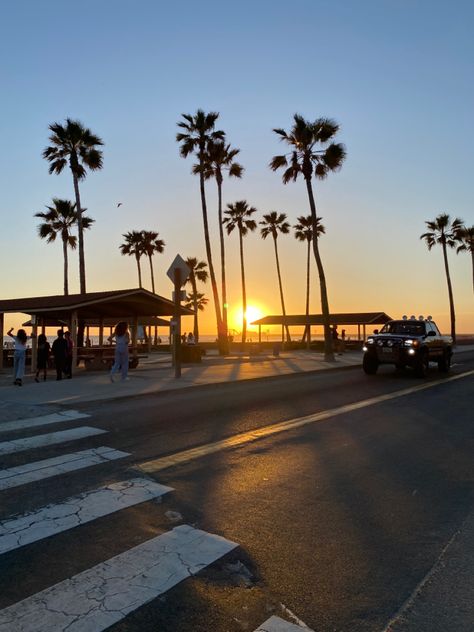 Beach Bum Aesthetic, Surfer Aesthetic, Coastal Vibes, Royal Aesthetic, Phone Ideas, In Another Life, Beach Living, Summer 24, California Dreaming