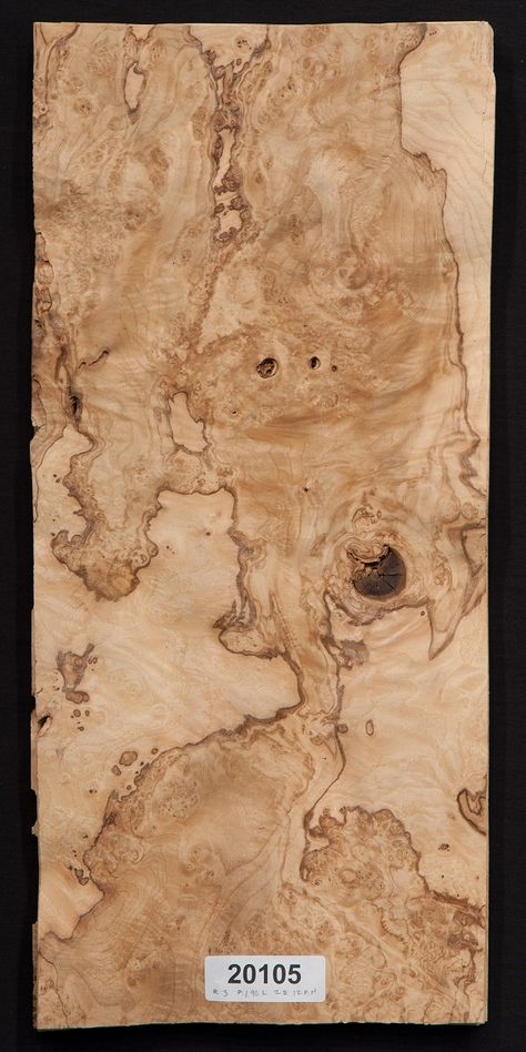 Olive Wood Texture, Burl Wood Veneer, Venner Texture, Raw Wood Texture, Wood Samples, Veneer Texture, Wood Veneer Sheets, Wood Burl, Patterned Furniture