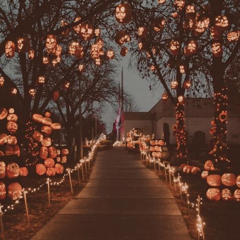 Autumn Magic, Cute Spooky, Halloween Inspo, Theme Halloween, Season Of The Witch, Images Esthétiques, Halloween Aesthetic, Fall Halloween Decor, Halloween Pictures