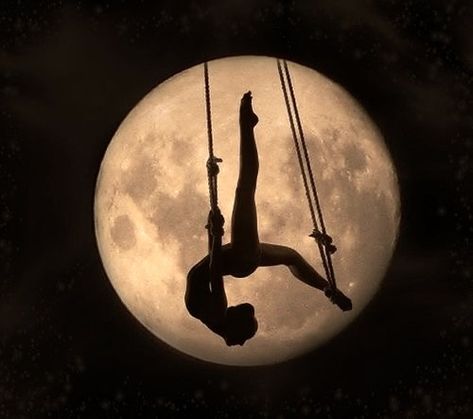 Circus Acrobat, Flying Trapeze, Circus Aesthetic, Aerial Acrobatics, Crooked Kingdom, Aerial Dance, Night Circus, Circus Performers, Aerial Arts