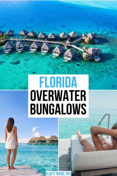 27 Luxury Overwater Bungalows in Florida (2024 Updates!) Bora Bora Overwater Bungalow, Overwater Bungalow All Inclusive, Over The Water Bungalow, Bungalow Resorts, Florida Villas, Water Bungalow, Overwater Bungalows, Florida Resorts, Beach Bungalows