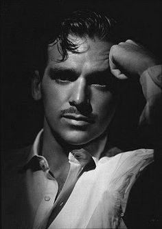 Famous Portrait Photographers, Douglas Fairbanks Jr, George Hurrell, Famous Portraits, Douglas Fairbanks, Black And White Movie, Hollywood Men, Old Hollywood Stars, Film History