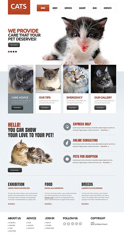 Website Template #cats #drupal Cat Website, Cat Brain, Cat Template, Feminine Wordpress Theme, Digital Media Design, Theme Template, Cat Stands, Forest Illustration, Photo Editing Services