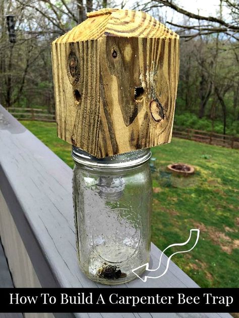 Step by Step DIY instructions on How To Build A Carpenter Bee Trap