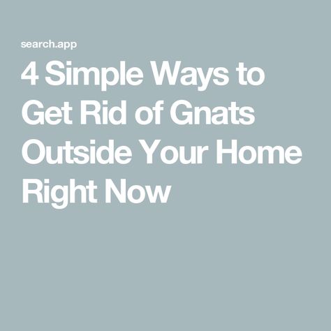 4 Simple Ways to Get Rid of Gnats Outside Your Home Right Now Home Remedies, Bugs And Insects, Get Rid Of Gnats Outside, Rid Of Nats, Getting Rid Of Nats, Get Rid Of Gnats, How To Get Rid Of Gnats, Enjoy Time, Simple Way