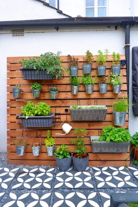 Kebun Herbal, Herb Garden Wall, Taman Diy, Garden Wall Designs, Outdoor Herb Garden, Hanging Herb Garden, Herb Wall, Diy Herb Garden, Vertical Herb Garden