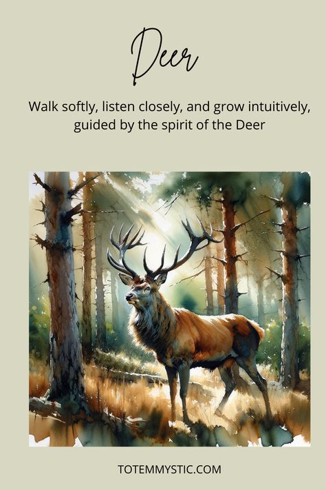 Deer, gentle creatures of sensitivity and intuition, guide you to inner peace. Embrace the deer spirit for a touch of gentleness in your life. #spirit animal #spiritual meaning #totem #power animal Deer Totem Spirit Animal, Deer Spirit Animal Meaning, Deer Spirit Animal, Deer Spirit, Spirit Animal Meaning, Mystic Arts, Animal Meanings, Deer Crossing, Spirit Animal Totem