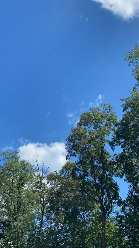 Sky And Trees Wallpaper, Trees Pictures Nature, Tree Pictures Aesthetic, Different Weather Pictures, Pictures Of Trees Photography, Nice Weather Aesthetic, Summer Sunny Aesthetic, Weather Sunny Aesthetic, Sunny Clouds Aesthetic