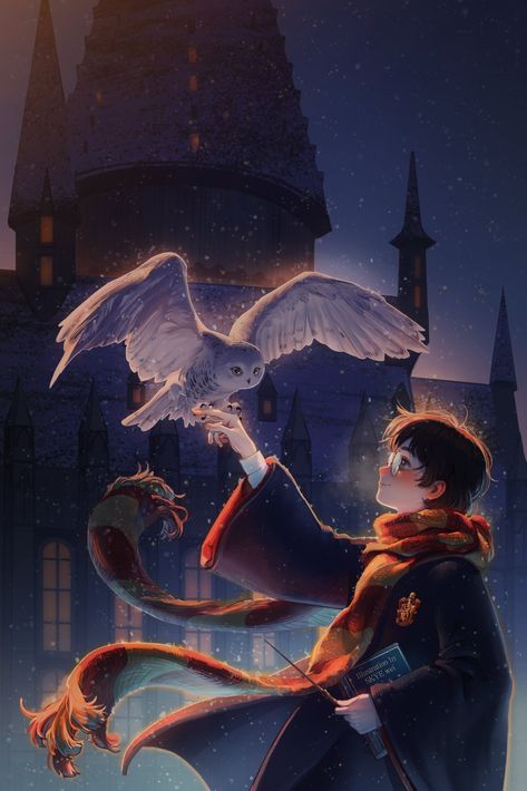 Harry Potter Wallpaper Backgrounds, Jhin League Of Legends, Wallpaper Harry Potter, Harry Potter Painting, Harry Potter Hedwig, Tapeta Harry Potter, Harry Potter Background, Harry Potter Poster, Harry Potter Illustrations