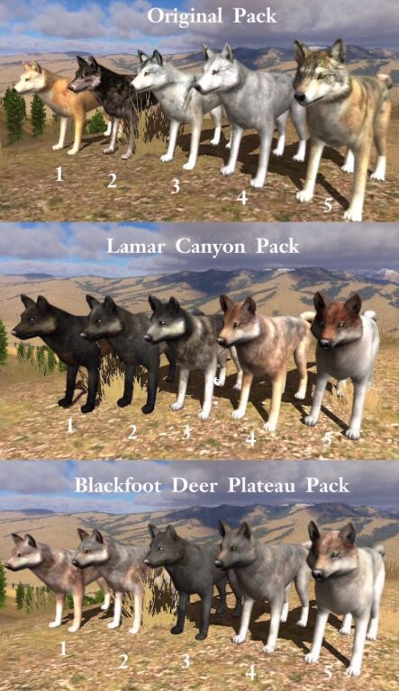 All Different packs in 2.7 Wolfquest Fanart, Wolfquest Anniversary Edition, Wolf Quest, Wolf Birthday, Wolf Base, Fantasy Wolf, Yellowstone Park, Sims Games, Wild Wolf