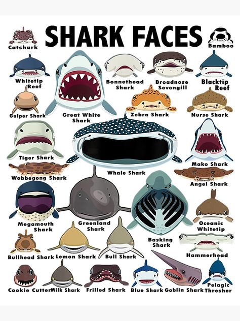"Types Of Shark Identification - Shark Faces - Shark Heart" Mounted Print by DarrinLindstrom | Redbubble Fishing Tackle, Sharks, Fishing, Fishing Tips, Shark Heart, Outdoor Clothing, Smile More, Online Clothing, Fashion Home