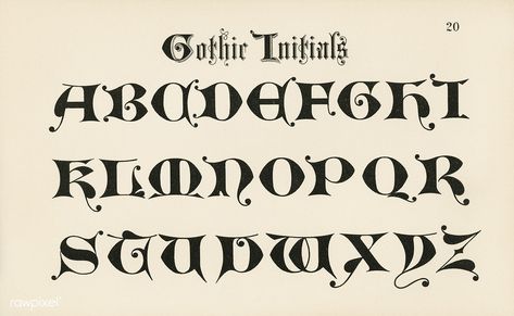 Gothic initials fonts from Draughtsman's Alphabets by Hermann Esser (1845–1908). Digitally enhanced from our own 5th edition of the publication. | free image by rawpixel.com English Calligraphy Font, Historical Fonts, Jersey Font, Initial Fonts, Online Web Design, Web Design Quotes, Image Font, S Alphabet, Gothic Fonts