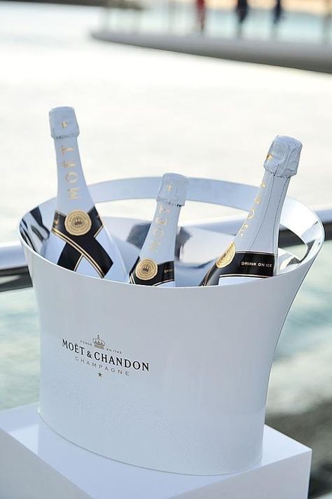 We get a bottle each?  I am not responsible for the consequences. Puerto Vallarta, Glace Fruit, Moet Chandon, Luxe Life, Ice Bucket, Luxury Life, White Wine, Luxury Lifestyle, Party Time