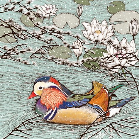 TW43 - Mandarin Duck Mandarin Duck, Mandarin Drawing, Duck Sketch, Duck Swimming, Swimming Art, Mandarin Ducks, Minecraft Seed, Trees Painting, Japanese Prints