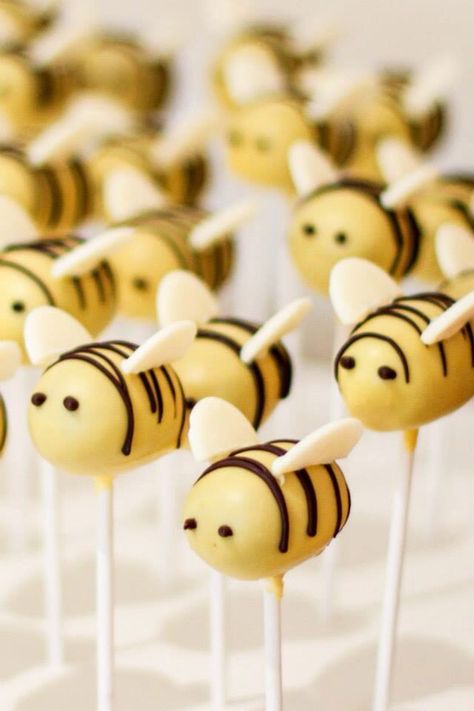 Dream Cupcakes, Bee Cake Pops, Bumble Bee Cake, Bee Themed Birthday Party, Cake Pop Designs, Bee Cake, Kreative Snacks, Honey Bee Baby Shower, Birthday Party Photography