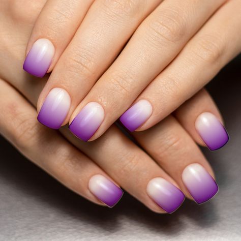 Cute ombre purple and white fingernail nail art for women and girls. Purple Color Nail Art, Nail Art In Purple Color, Square Nail Designs Ombre, Dark Purple Dip Nails, Dip Nail Ombre, Purple And White Ombre Nails, Purple Sns Nails, Ombre Nails Purple, Purple Gradient Nails