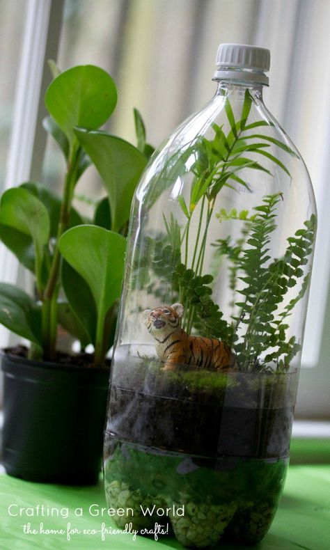 Recycled Soda Bottles | 23 DIY Mini Plant Terrarium Ideas Rainforest Crafts, Rainforest Project, Rainforest Activities, Terrariums Diy, Bottle Terrarium, Jungle Thema, Rainforest Theme, Earth Day Projects, Earth Day Crafts