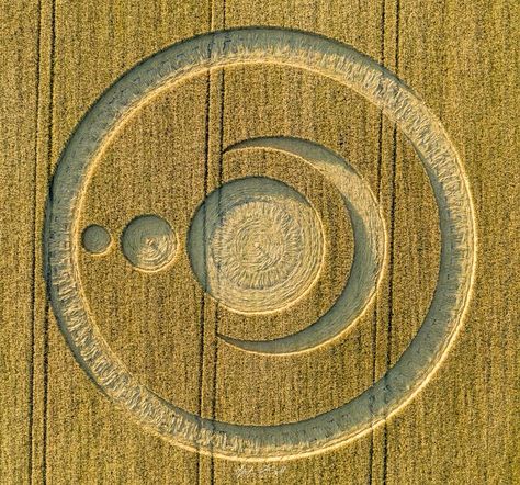 Crop circle: Clear Wood, Cley Hill, near Warminster, Wiltshire - Nexus Newsfeed Alien Crop Circles, Crop Circle Tattoo, Weird Messages, Real Crop Circles, Crop Circles Sacred Geometry, Circle Symbol, Ancient Astronaut, Crop Circle, Crop Circles