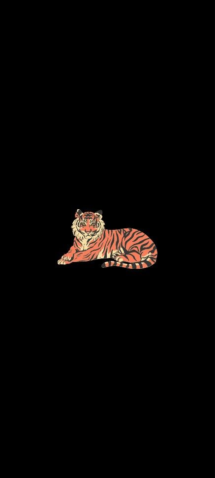 Aesthetic Tiger Wallpaper, Black Tiger Wallpaper, Tiger Wallpaper Aesthetic, Tiger Wallpaper Iphone, Black Wallpaper Dark, Blank Wallpaper, Cheetah Wallpaper, Tiger Wallpaper, Dark Wallpapers