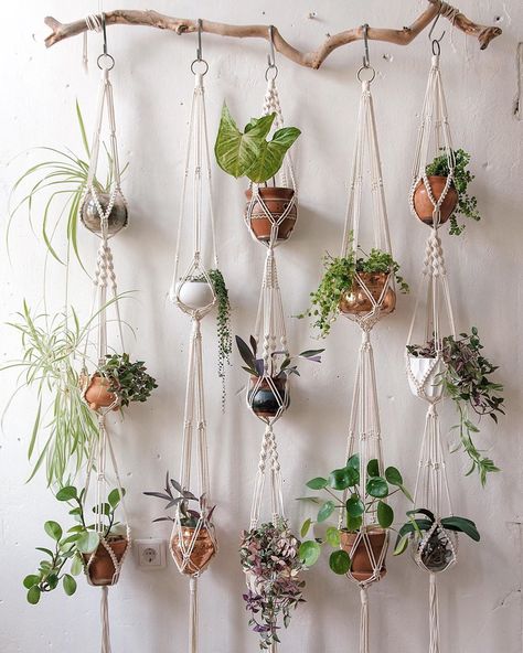 Whether you've got a blank wall that needs a little something or you've been trying to figure out a way to incorporate more greenery into your space, a plant وابي سابي, Planter Plants, Pola Macrame, Tanaman Indoor, Tanaman Pot, Plants Pots, نباتات منزلية, Plant Wall Decor, Diy Plant Hanger