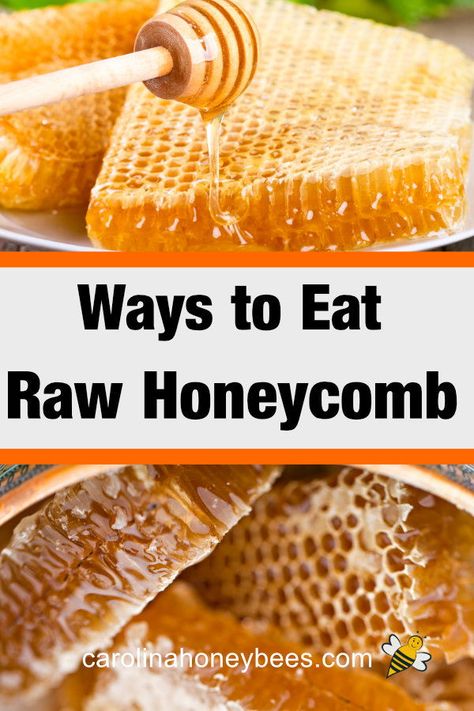 Essen, Honeycomb Food, Honeycomb Raw, Raw Honey Recipes, Raw Honeycomb, Fresh Honeycomb, Honey Snacks, Honeycomb Recipe, Recipe Using Honey