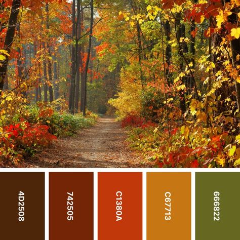 Red Brown Green Color Palette, Autumn Colours Aesthetic, Autumn Leaves Color Palette, Fall Leaves Color Palette, Cozy Fall Color Palette, Boho Fall Color Palette, Fall Pallet Colors, Fall Color Swatches, Fall Pallete