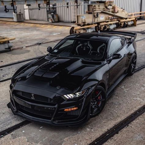 Siyah Mustang, Blacked Out Cars, Mustang Gt 350, Shelby Mustang Gt500, Black Mustang, Ford Mustang Gt500, Ford Mustang Shelby Gt, Mustang Gt500, Ford Mustang Shelby Gt500