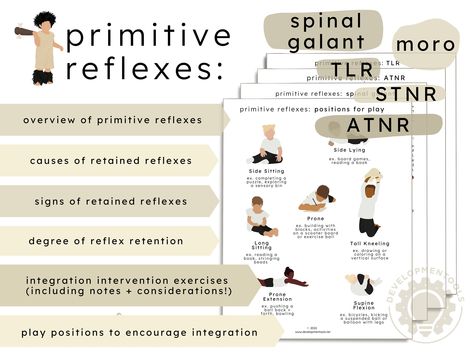 "Children with learning disabilities have a significantly higher level of primitive retained reflexes compared to other children (Hickey & Feldhacker, 2021). When we think of reflexes, we may envision being tapped on the knee at the doctor's office, or yanking our hand away from a hot stove. These reflexes allow our bodies and brains to complete motor movements without having to consciously think about it. Primitive reflexes are named for the part of the brain in which they originate - the primi Primitive Reflexes Integration Exercises, Primitive Reflex Integration, Reflex Integration Therapy Exercises, Primitive Reflex Integration Exercises, Primitive Reflexes Exercises, Reflex Integration, Primitive Reflexes, Pediatric Physical Therapy, Sensory Rooms