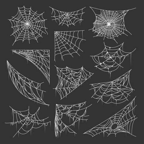 Painted Spider Webs, Drawing Of A Spider Web, Drawing Of Spider Web, How To Draw Cobwebs, Drawn Spider Webs, Spiders Drawing Ideas, Spider Web Reference, Spiderweb Reference, Easy Spiderweb Drawing
