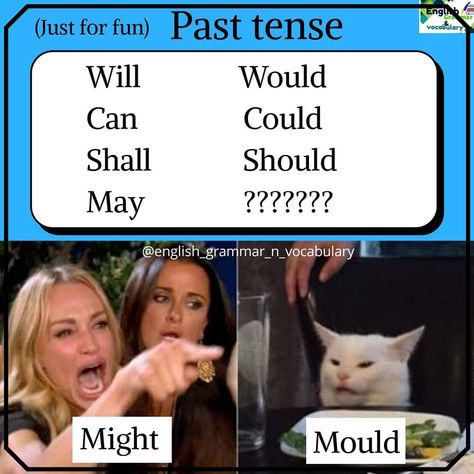 English Student Memes, Linguistics Memes English, Meme English Grammar, Grammar Memes Funny, Grammar Memes, Humour English, Humor English, Literary Humor, Language Jokes