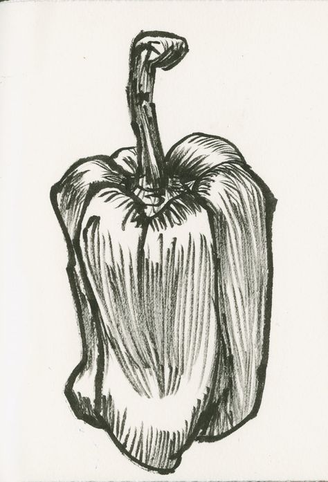 Peppers art sketch by Roz Stendahl Ink Drawing Easy, Begginer Sketches Ideas, Pepper Sketch, Quick Sketch Ideas, Drawing Of Objects, Drawing Ideas Things, Food Drawing Sketches, Cool Art Sketches, Fruit Sketches