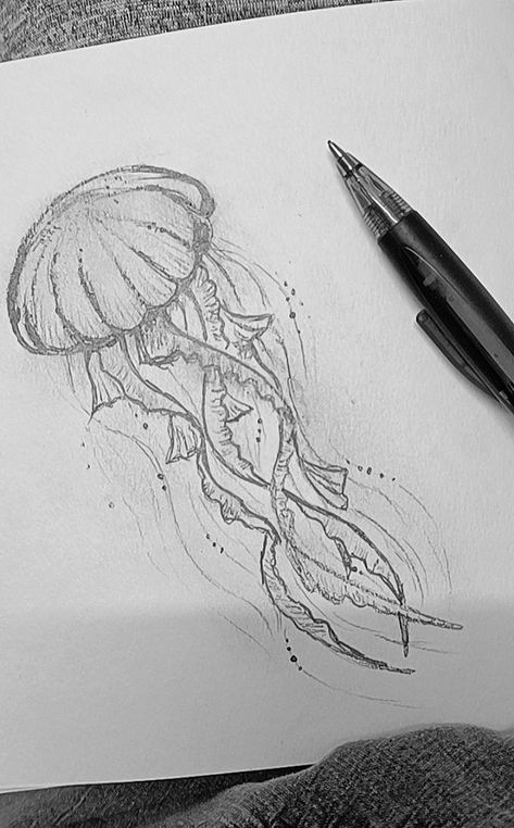 Realistic Jellyfish Drawing, Drawing Of A Jellyfish, Step By Step Jellyfish Drawing, Jelly Fish Art Drawing, Drawing Random Things, Jelly Fish Sketches, Jellyfish Pencil Drawing, Drawing Face Base, Jellyfish Aesthetic Drawing