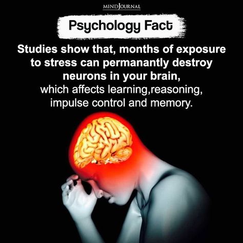 Psychology Notes, Physiological Facts, Psychological Facts Interesting, Understanding Emotions, Brain Facts, Mental Health Facts, Impulse Control, Psychology Says, Cool Science Facts