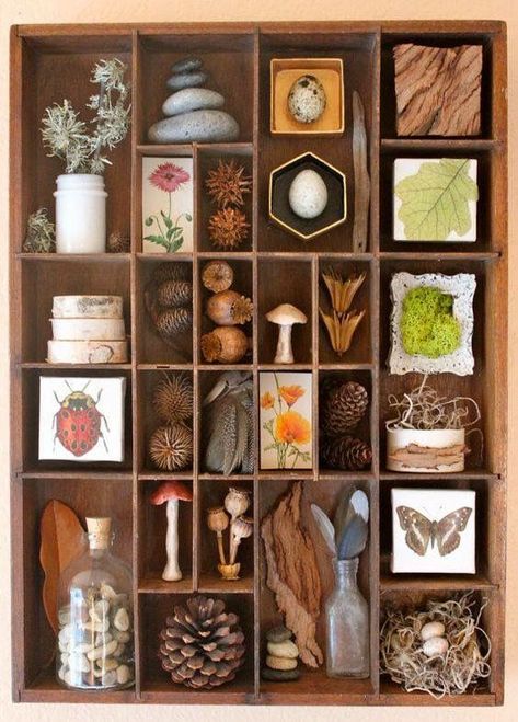 Collected Nature Art Displays Assemblage Art, Theme Nature, Instagram Challenge, Nature Table, Nature Collection, Art Organization, Found Objects, Nature Crafts, Shadow Boxes