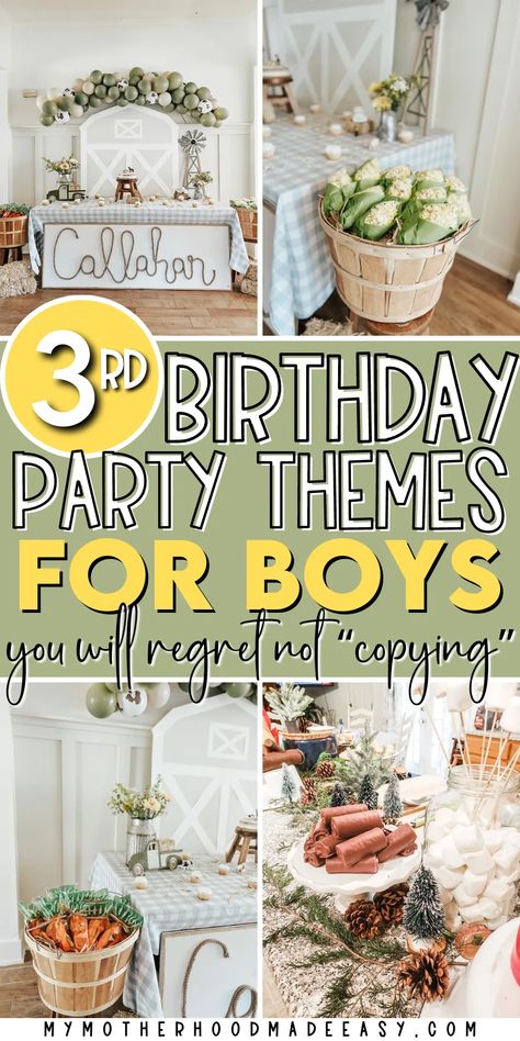 third birthday party themes for Boys Brother Birthday Party Themes, One And Three Year Old Birthday Party, Three Yr Old Birthday Party Ideas, Clever 3rd Birthday Theme, Birthday Party 3 Boy, 3rd Burthday Theme Boy, 3year Birthday Party Ideas Boy, 3rd Year Down Birthday Theme, Birthday Theme For 3 Year Boy