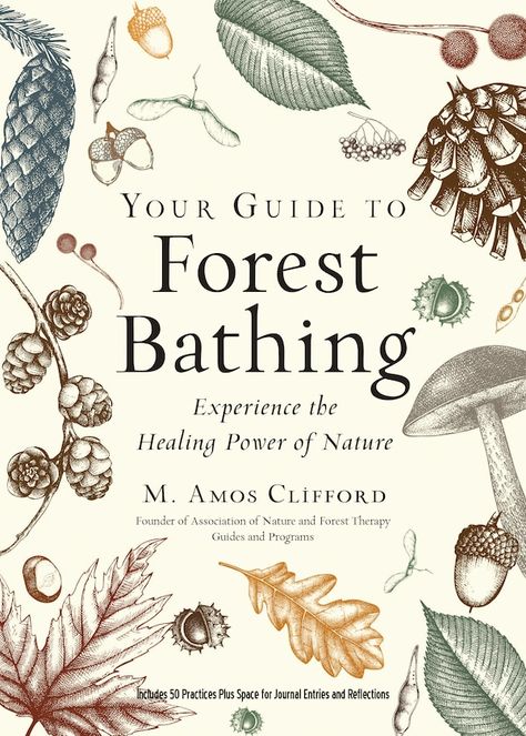 Experience The Healing Power Of Nature | Your Guide To Forest Bathing (expanded Edition) by M. Amos Clifford Paperback | Indigo Chapters Healing Power Of Nature, Fully Alive, Our Senses, For Journal, Being Present, Forest Bathing, Power Of Nature, Forest School, Inspirational Books To Read